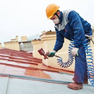 Bella Vista Roof Painting