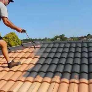 Bella Vista Roof Painting0