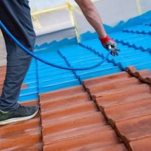 Bella Vista Roof Painting4
